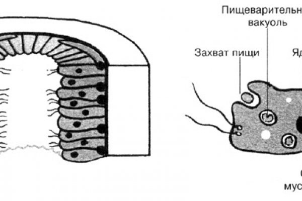 Ссылка кракен на тор браузер