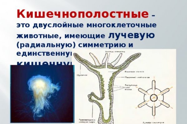 Сколько ждать перевода от обменника на блэкспрут